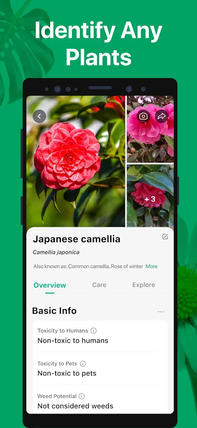 PictureThis - Plant Identifier v5.26.0 APK Мод (Всё открыто, Premium) Screenshot 2