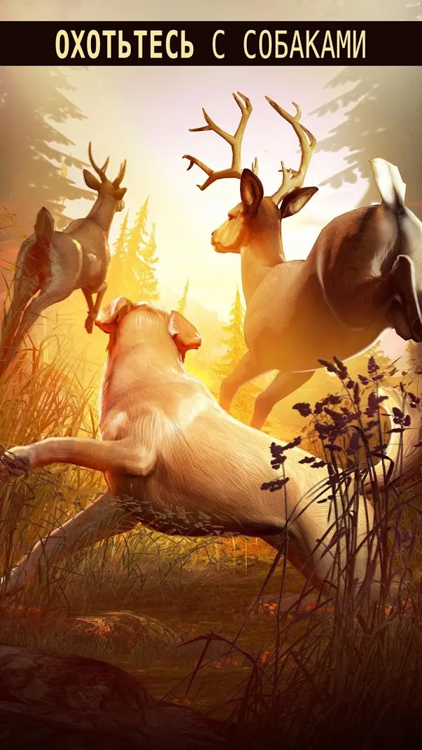 Deer Hunter 2018 [мод: много золота, энергии, оружия] Screenshot 3