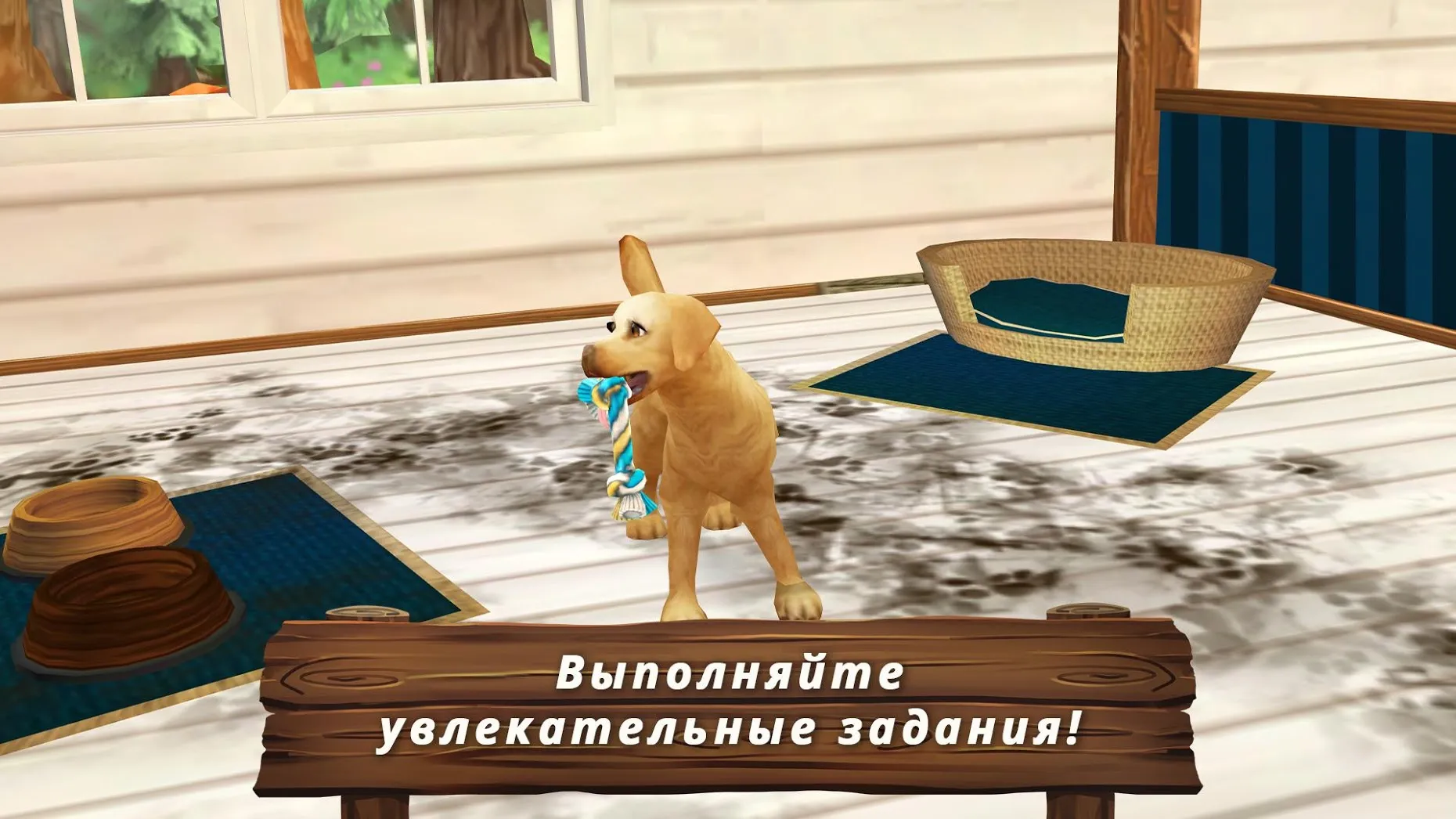 Pet Hotel Premium [мод: много денег] Screenshot 3