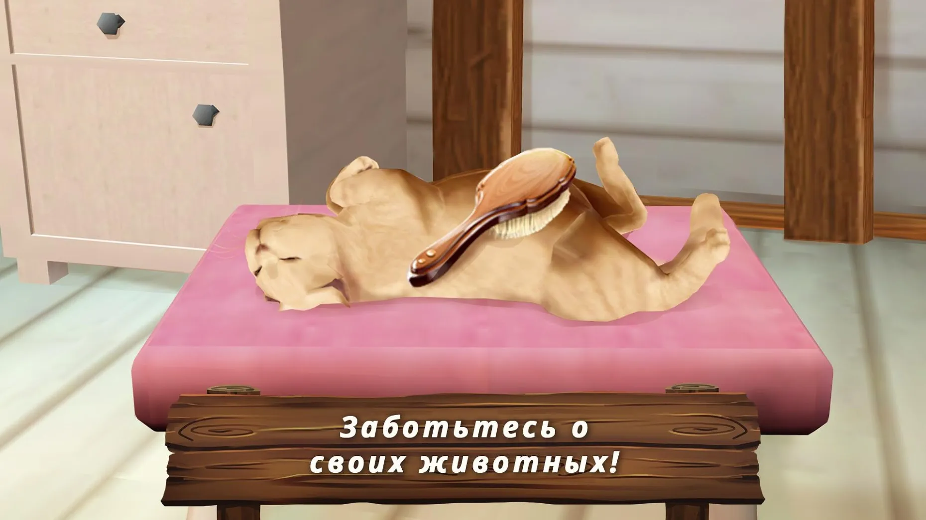 Pet Hotel Premium [мод: много денег] Screenshot 5
