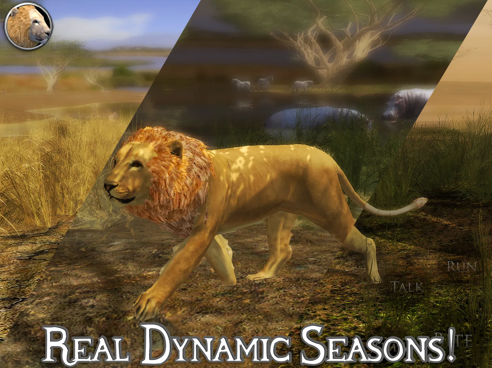 Ultimate Lion Simulator 2 [мод: много очков умений] Screenshot 4