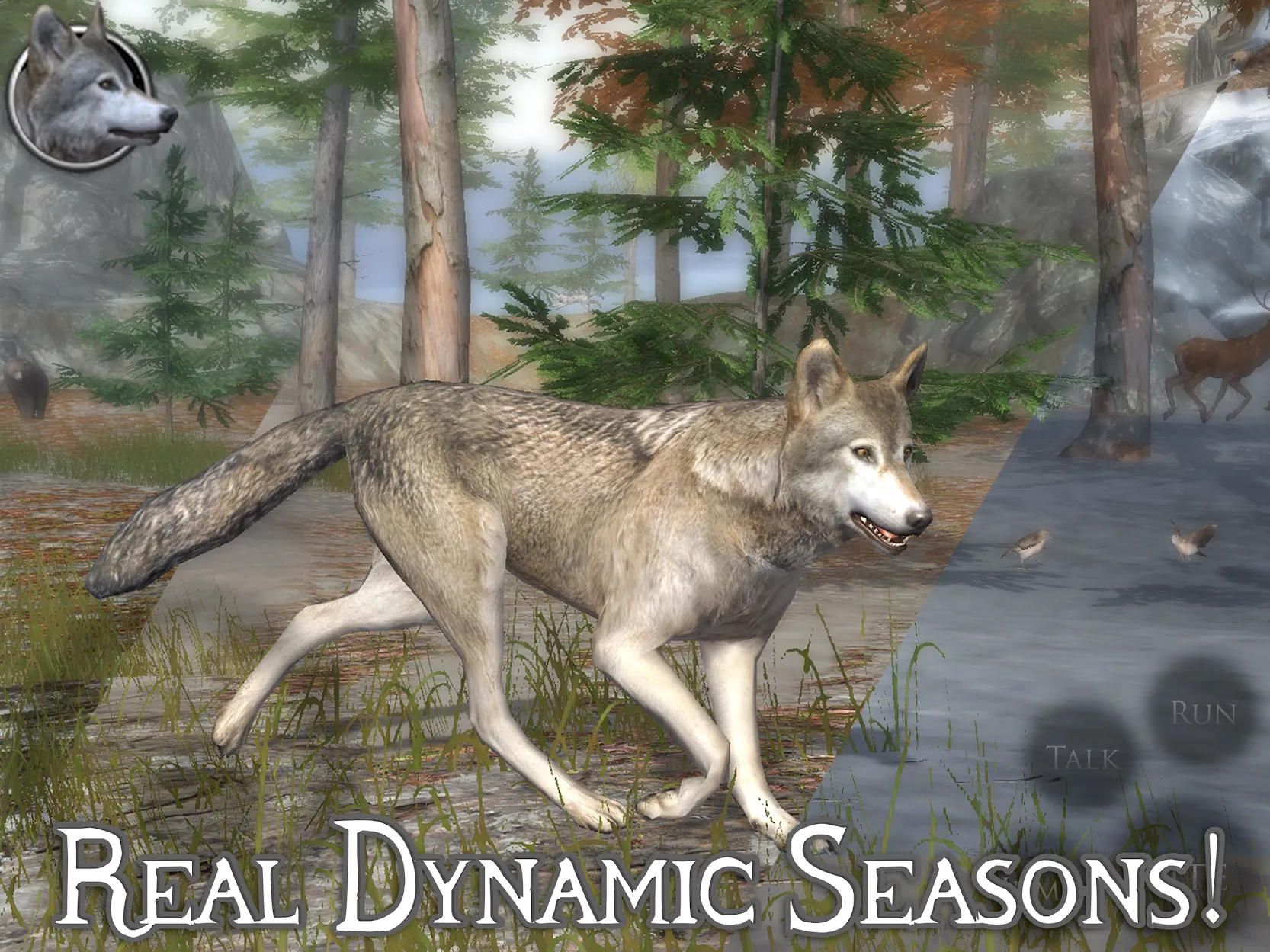 Ultimate Wolf Simulator 2 [мод: много очков умений] Screenshot 3