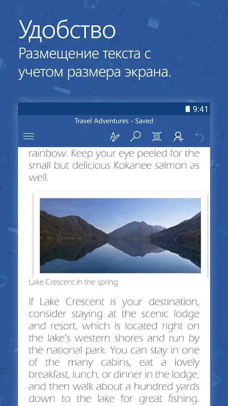 Microsoft Word Screenshot 3