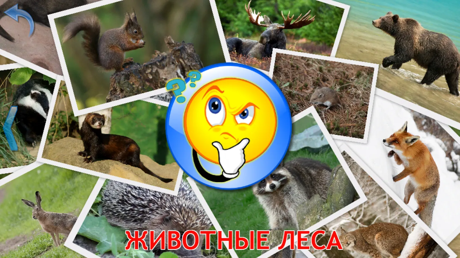 Малыш учит животных (полная) [мод: полная версия] Screenshot 1