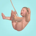 Скачать полную версию Idle 9 Months Мод (Много бриллиантов) на Андроид