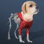 Скачать взлом Idle Pet – Create cell by cell [мод: бесплатные покупки] на Андроид