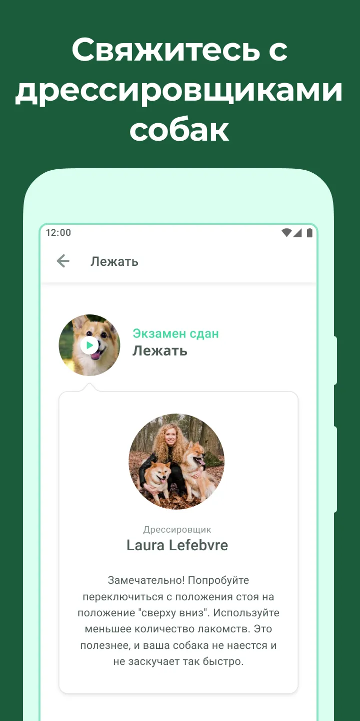 Дого Premium - Дрессировка Собак [мод: всё открыто] Screenshot 2