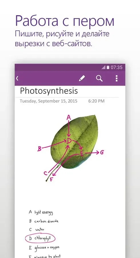 Microsoft OneNote: Save Notes Screenshot 2