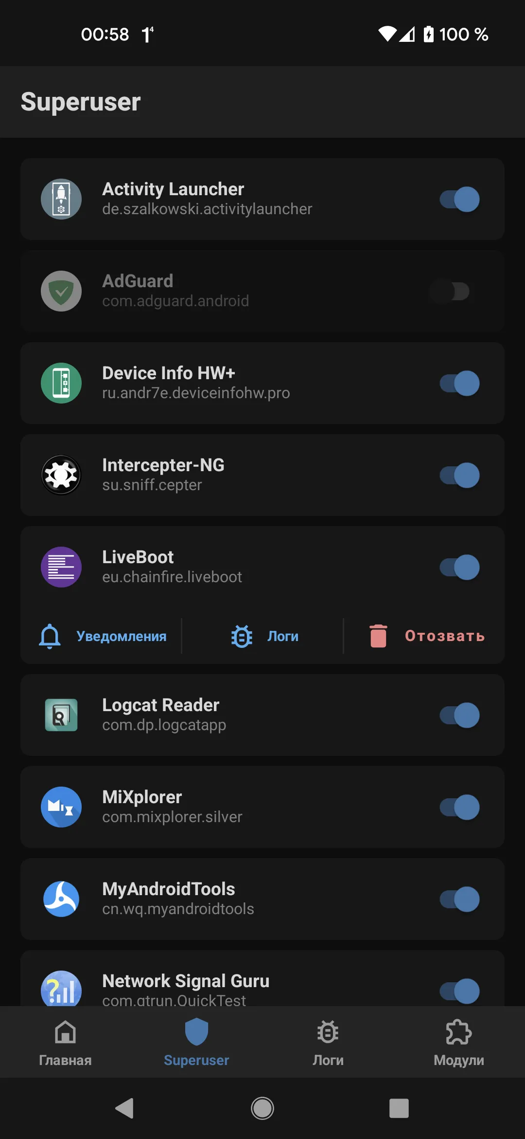Magisk Screenshot 2