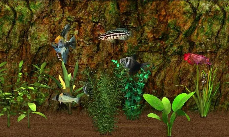 Fish Farm [мод: много денег] Screenshot 2