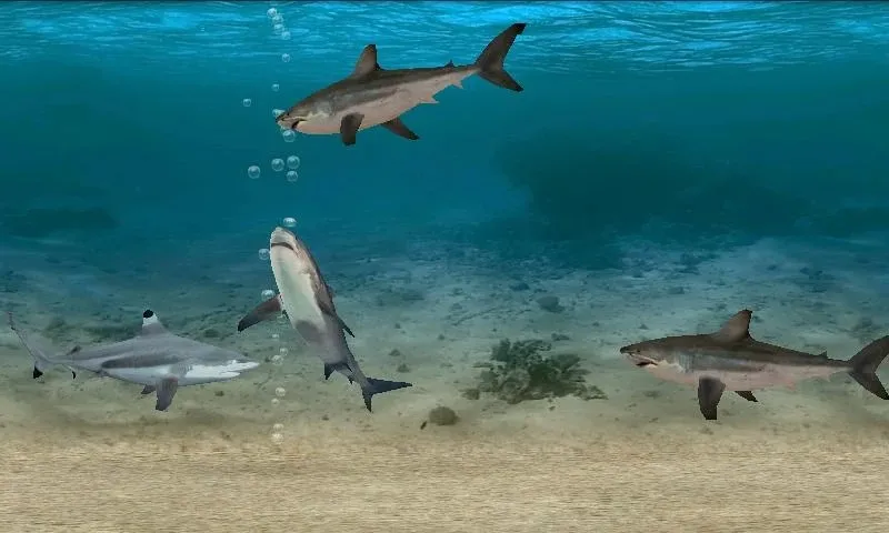 Fish Farm [мод: много денег] Screenshot 3
