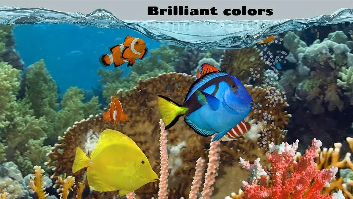 Fish Farm 2 [мод: много денег] Screenshot 1