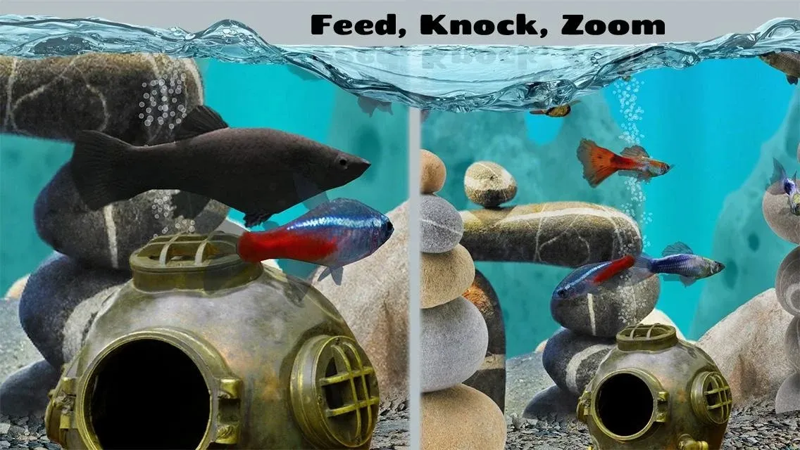 Fish Farm 2 [мод: много денег] Screenshot 5