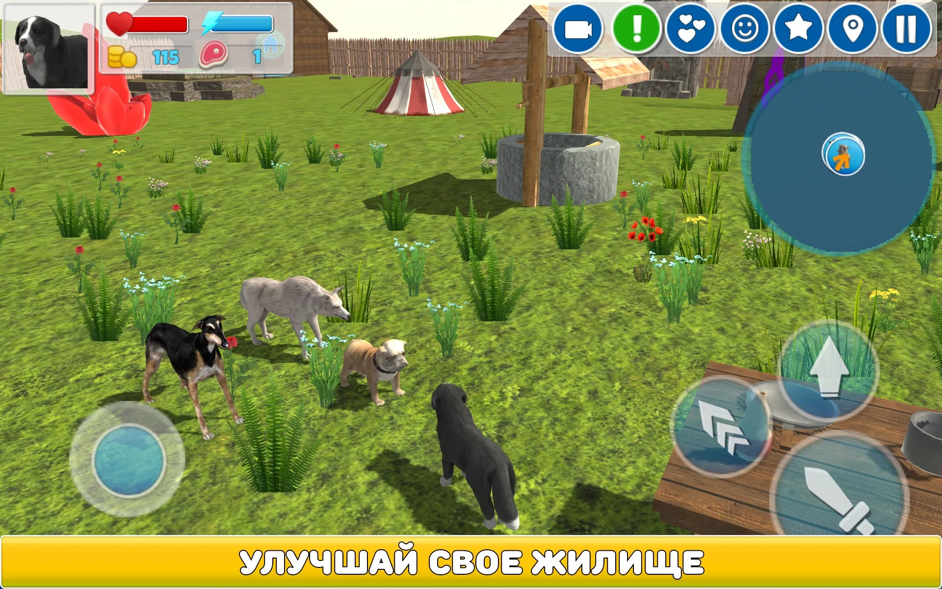 Симулятор Собаки 3D [мод: много денег] Screenshot 4