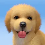 Взломанный My Dog:Pet Game Simulator [мод: без рекламы] на Андроид